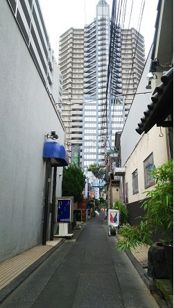 190803YY-01.JPG