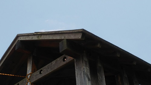 190902YY-01.JPG